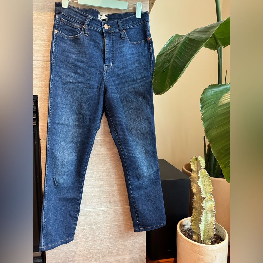 LAST CHANCE Madewell 10 Inch High Rise Skinny Cropped Jeans